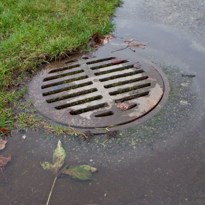 blocked-drain-outside-img (3)